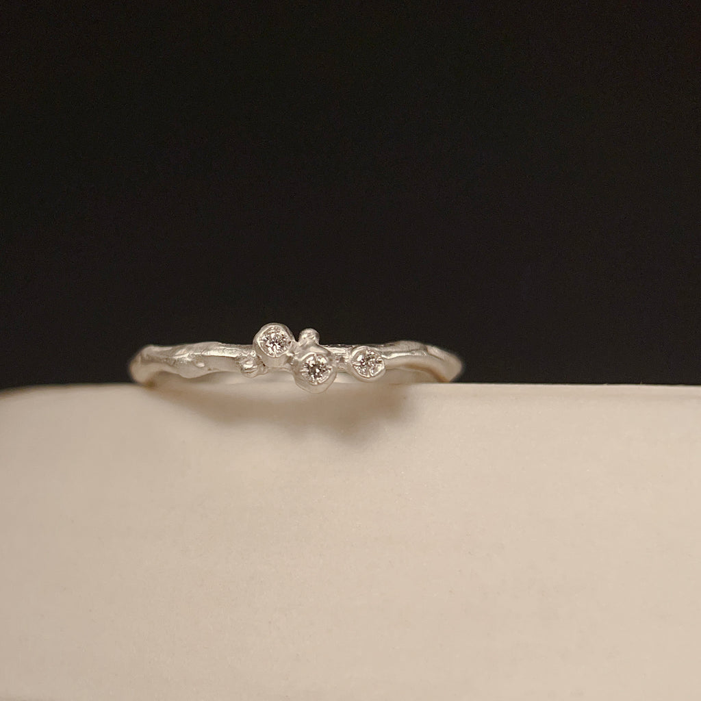 encrusted tiny branch